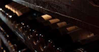 Udforsk enestående WineFamly-vine